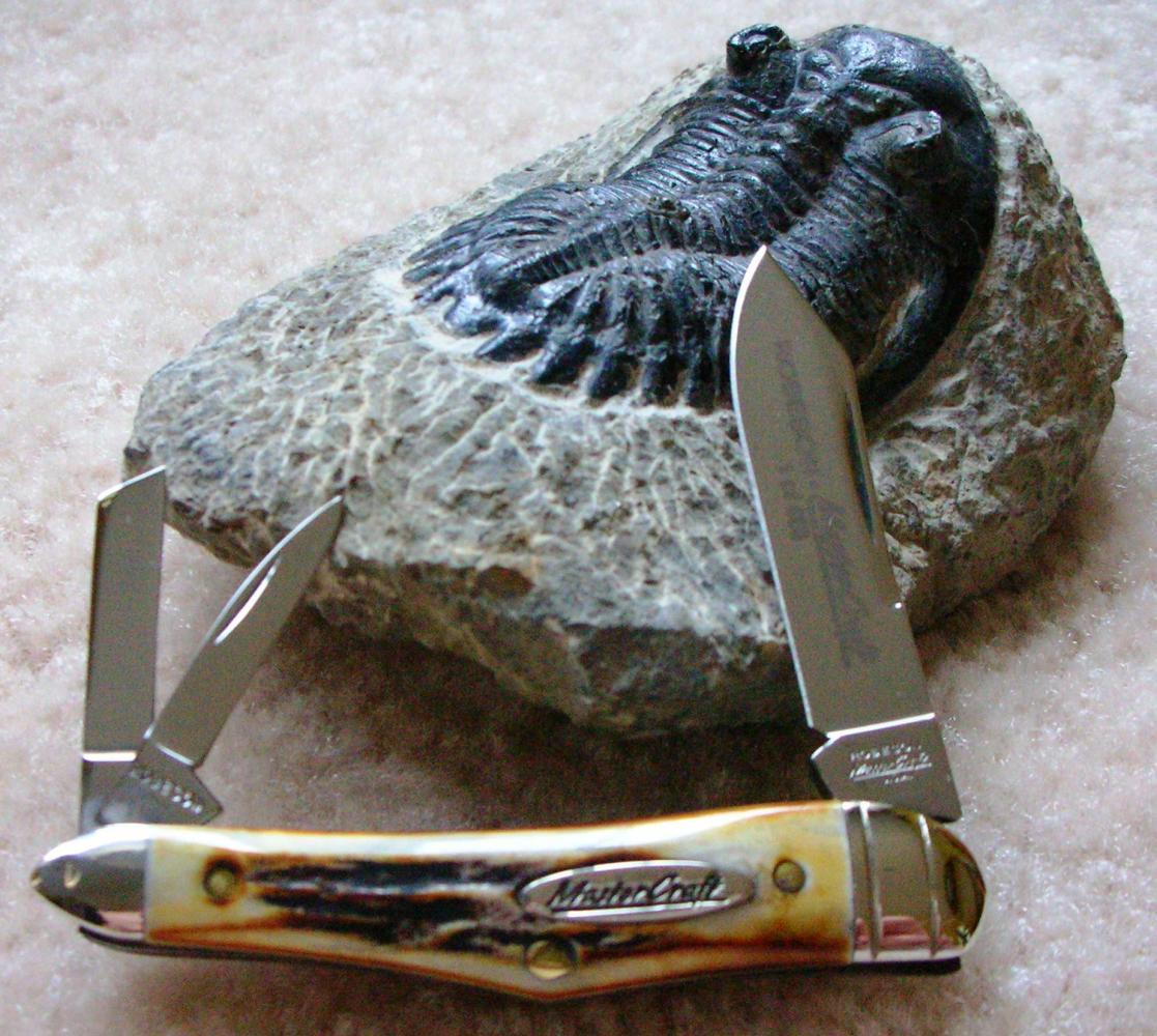 Robeson Whittler1.jpg