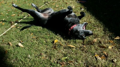 sunnin'.jpg