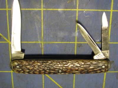 IXLWhittlerStag 002.jpg