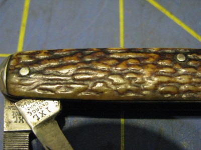 IXLWhittlerStag 004.jpg