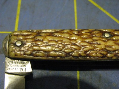 IXLWhittlerStag 005.jpg