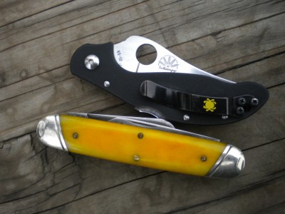 edc n dogs 002.JPG
