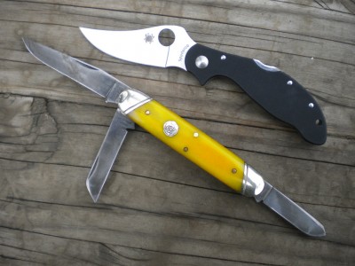 edc n dogs 003.JPG