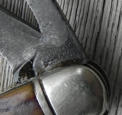 DSCN1842.jpg