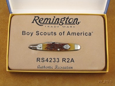 Remington BSA 2010 (2).jpg