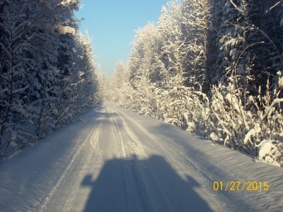 my road.jpg