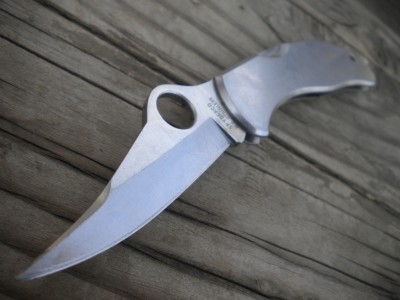STAINLESS SPYDERCO 011.JPG