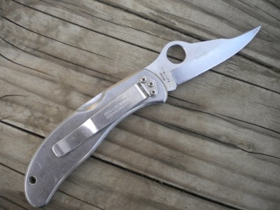 STAINLESS SPYDERCO 012.JPG