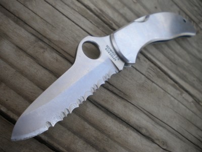 STAINLESS SPYDERCO 014.JPG