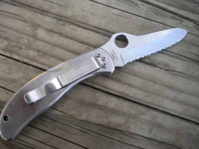STAINLESS SPYDERCO 015.JPG