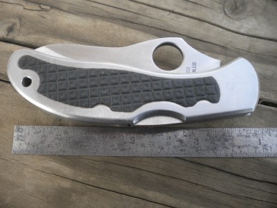 STAINLESS SPYDERCO 016.JPG