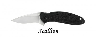 1620 Scallion.jpg