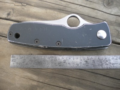 STAINLESS SPYDERCO 007.JPG