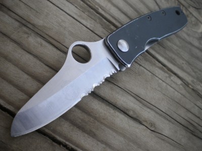 STAINLESS SPYDERCO 008.JPG