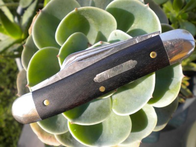 ROBESON 007.JPG