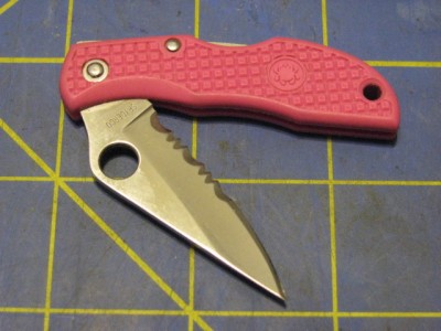 PinkSpyderCo 001.jpg