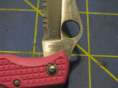 PinkSpyderCo 002.jpg