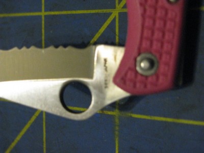 PinkSpyderCo 003.jpg