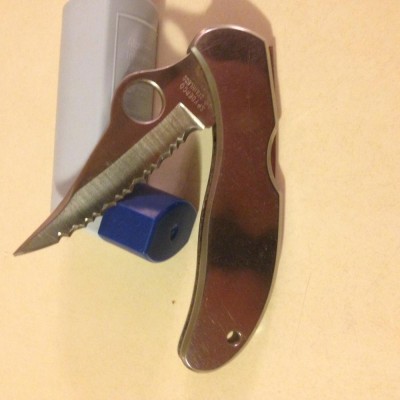 Spydie.JPG