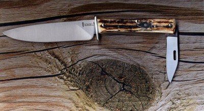 scagel#6.jpg