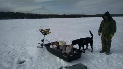 IMG_20150301_140744281.jpg