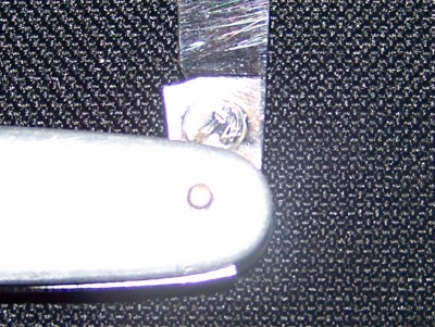 100_0387.jpg