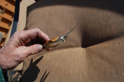 whittler queen 002.JPG