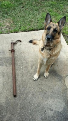 Barrel Pump 2.jpg