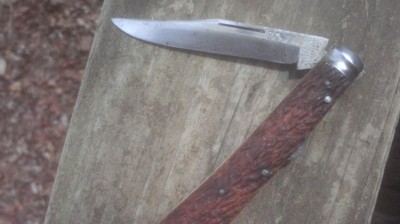 IMAG0900.JPG