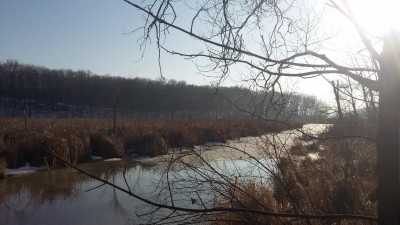 20150310_172227.jpg