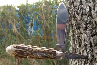 GEC 85P tree pic.jpg