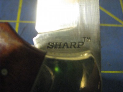 SharpLockback 002.jpg