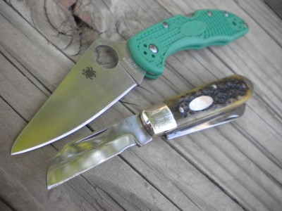 EDC 003.JPG