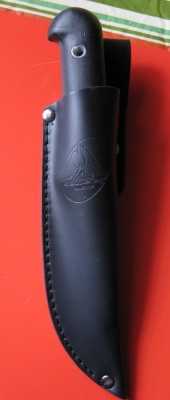 CONDOR RODAN 6.jpg
