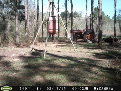 Cleaning up the fire breaks