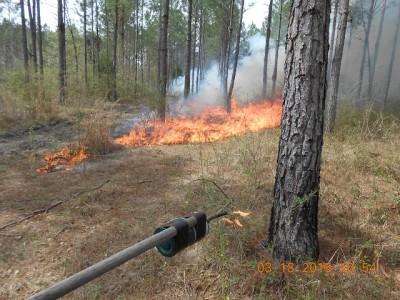 Fire working into the wind