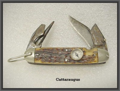 catt.JPG