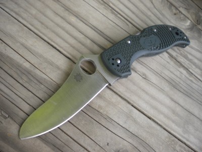 SUN EDC 003.JPG