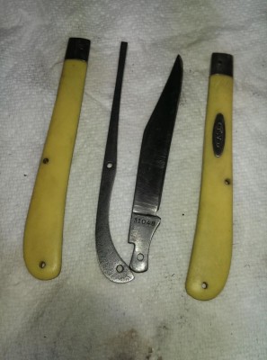 IMAG0647.jpg