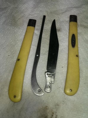 IMAG0648.jpg