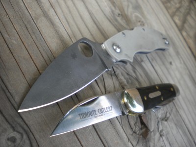 TUESDAY EDC AN MISC 004.JPG