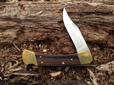 Buck 110 Folding Hunter 4-Dot.JPG