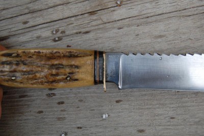 al.s bowie 005.JPG