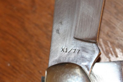 folding hunter stag tang 2.JPG