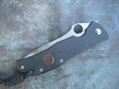 TERZ COPPER SHIELD 001.JPG