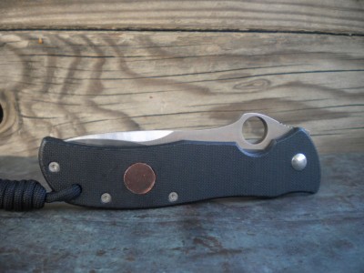 TERZ COPPER SHIELD 002.JPG