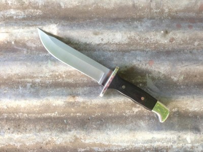 Buck 124.JPG