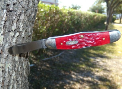 Case Humpback Whittler in tree.jpg