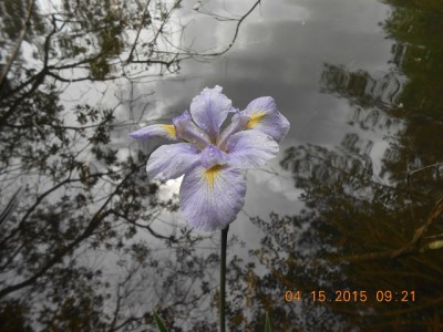 2015-04-15 002 006r.jpg