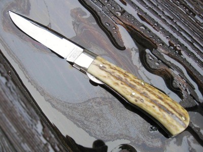 GEC #73 Stag.JPG
